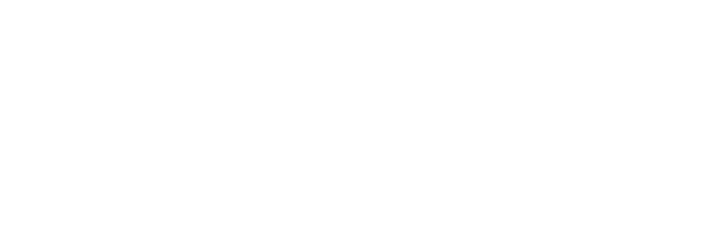Media partner
